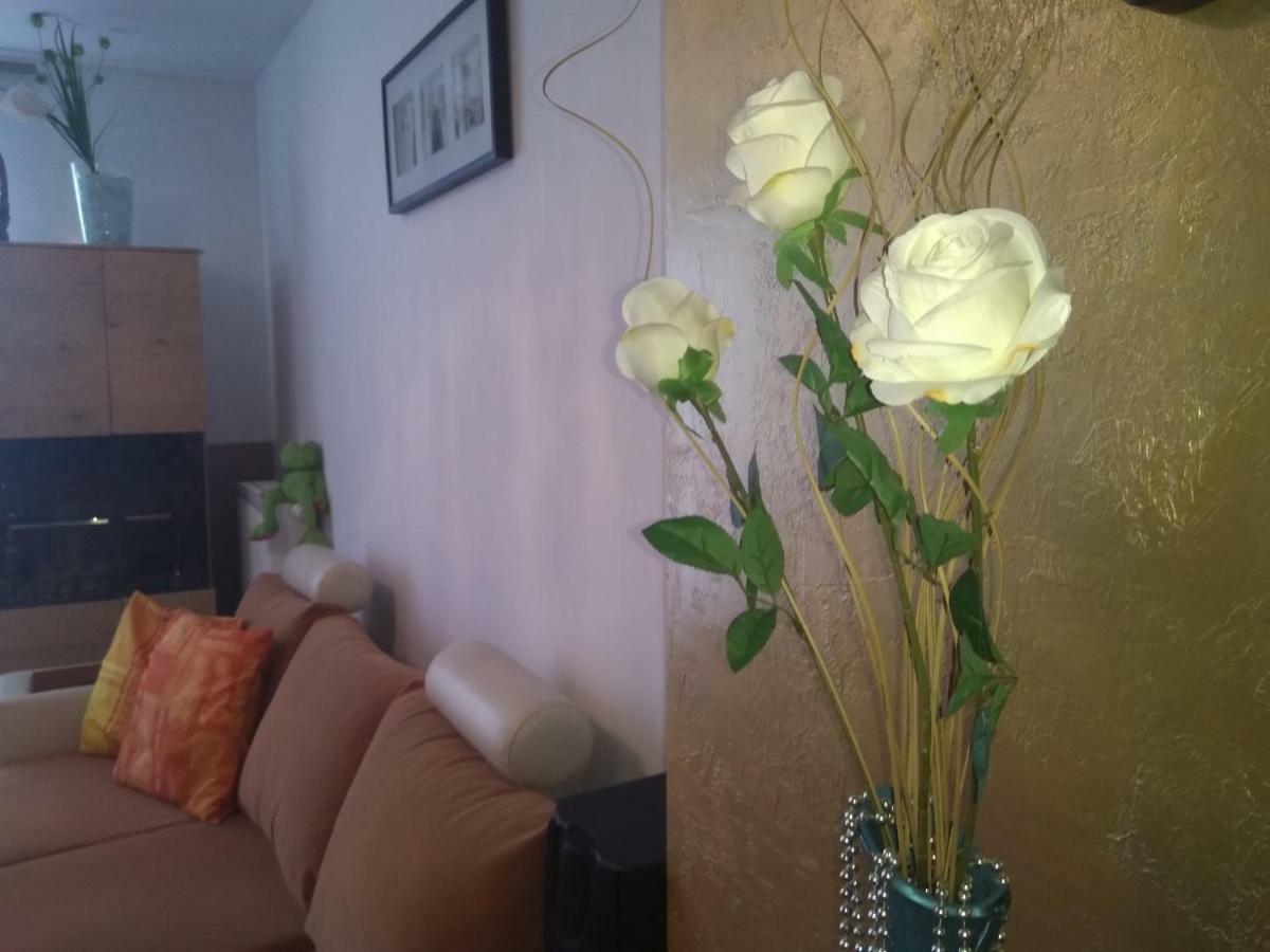 Apartament Wiatraczna Apartment